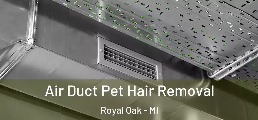  Air Duct Pet Hair Removal Royal Oak - MI
