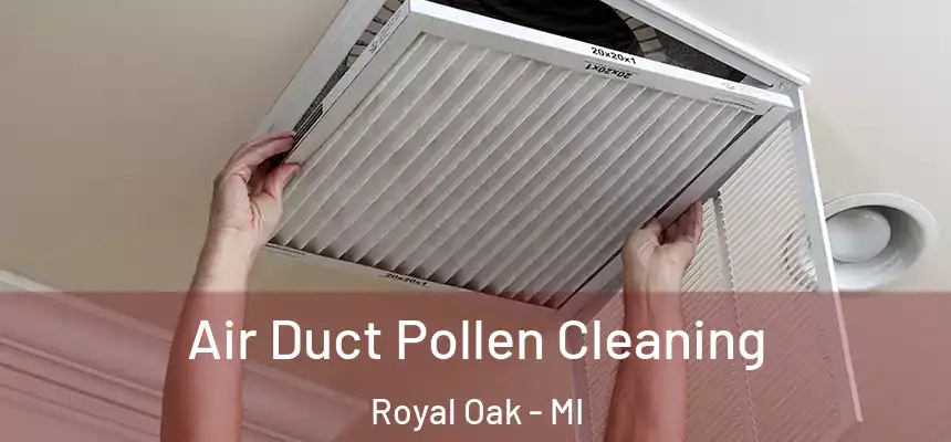  Air Duct Pollen Cleaning Royal Oak - MI