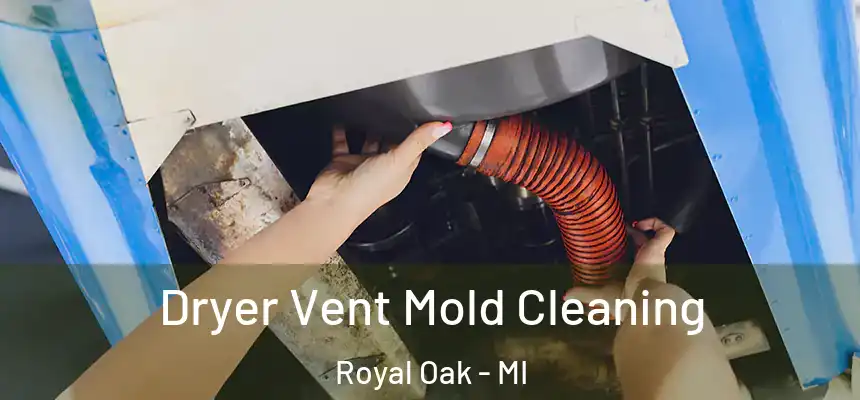  Dryer Vent Mold Cleaning Royal Oak - MI
