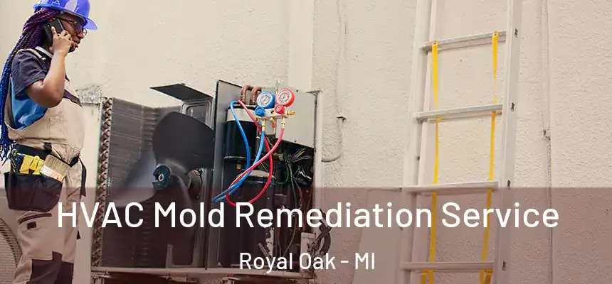 HVAC Mold Remediation Service Royal Oak - MI