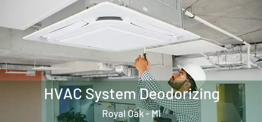  HVAC System Deodorizing Royal Oak - MI