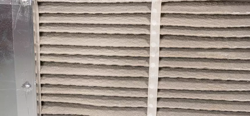 Mobile Car AC Filter Replacement in Royal Oak