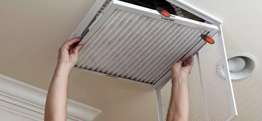 Preventive Cockroach-Proofing for Ducts in Royal Oak