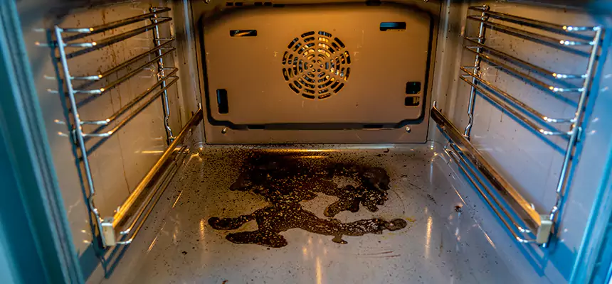 Our Dryer Vent Mold Cleaning Services in Royal Oak, MI