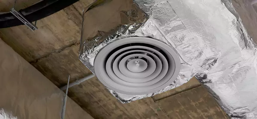 Our Excess Lint Removal from Dryer Ducts Services in Royal Oak, MI