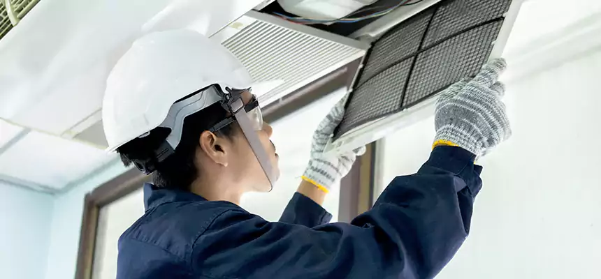 Our Mold & Mildew Removal from Air Ducts Services in Royal Oak, MI