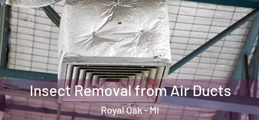  Insect Removal from Air Ducts Royal Oak - MI