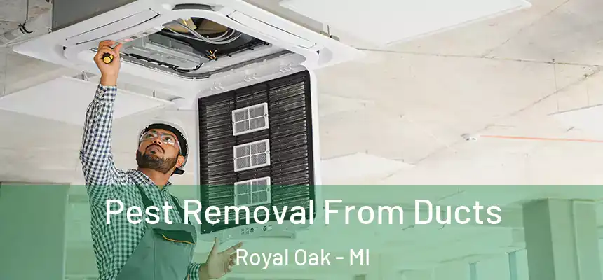 Pest Removal From Ducts Royal Oak - MI