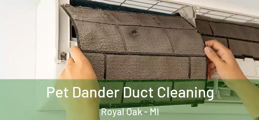  Pet Dander Duct Cleaning Royal Oak - MI