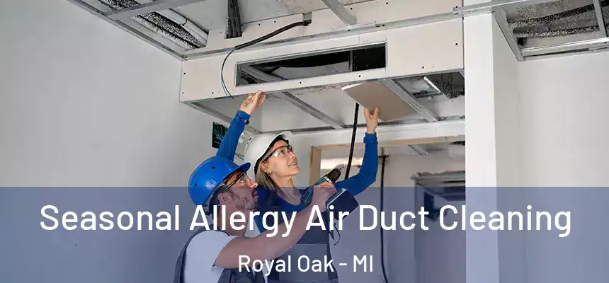  Seasonal Allergy Air Duct Cleaning Royal Oak - MI