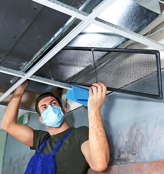 About Air Duct Bacteria Removal in Royal Oak