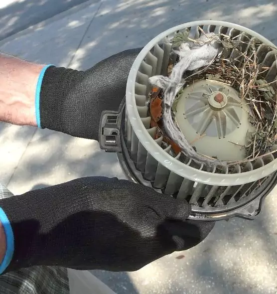 About Air Duct Rat Removal in Royal Oak, MI