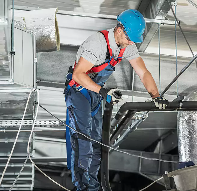 Why Homeowners & Businesses Trust Us in Royal Oak, MI?