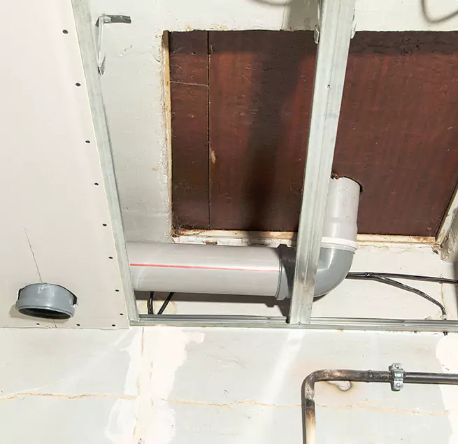 Why Homeowners & Businesses Trust Us in Royal Oak, MI?