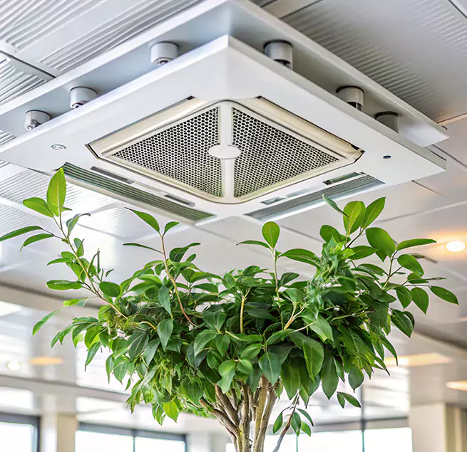 Why Homeowners & Businesses Trust Us in Royal Oak, MI?