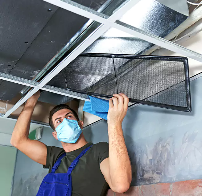  Why Homeowners Businesses Trust Us  in Royal Oak, MI?