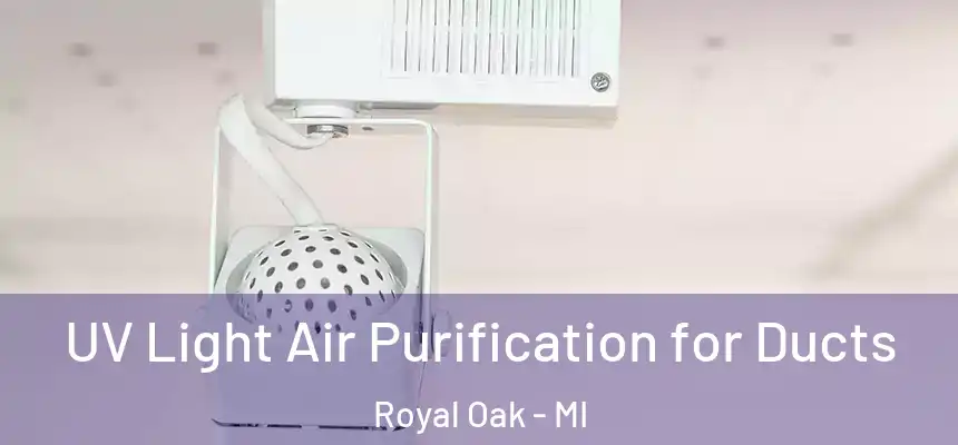  UV Light Air Purification for Ducts Royal Oak - MI